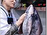 대신동 청죽일식 생참치 100Kg짜리 해체쇼와 환상적인 생참치회