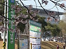 중앙공원