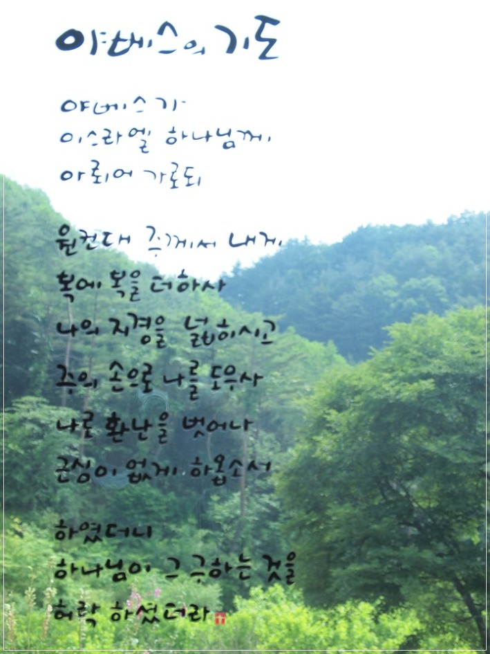 자연이랑민박 이미지