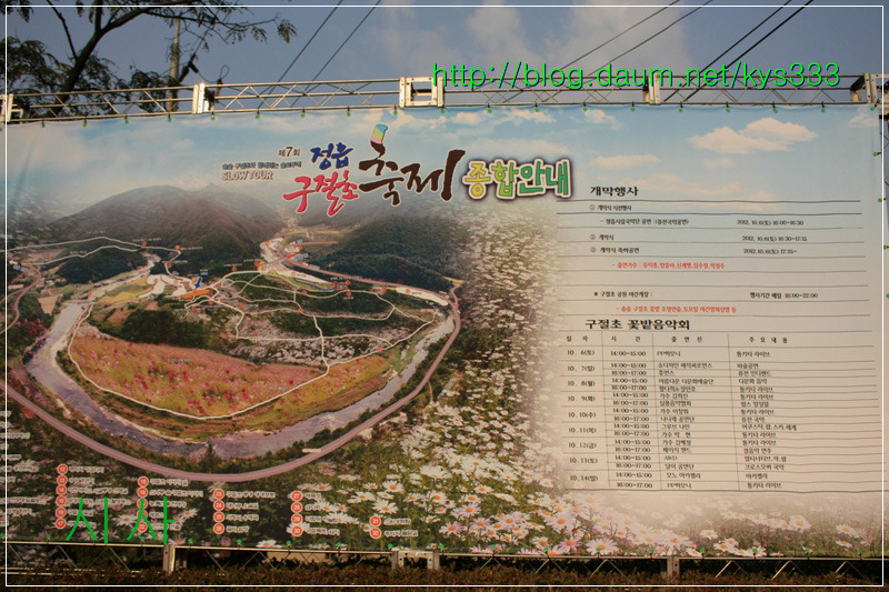 구절초 향기따라 정읍 구절초축제 2탄...2012. 10월14일...