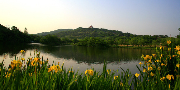 OK목장 이미지