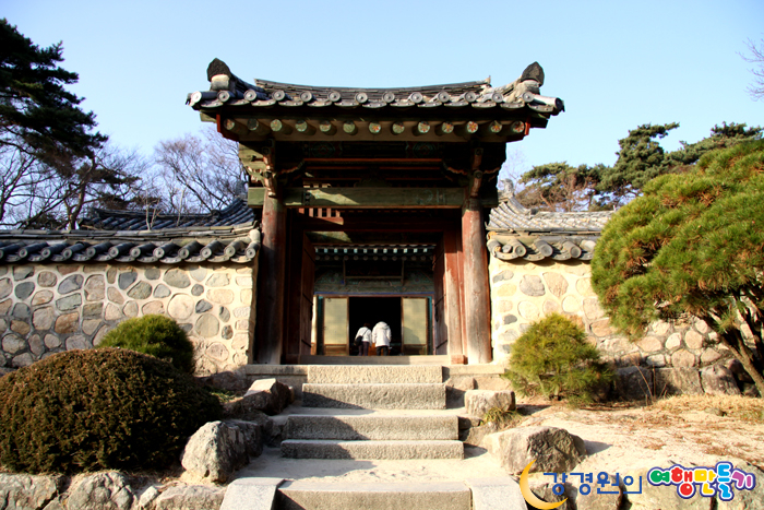 황금복돼지 이미지