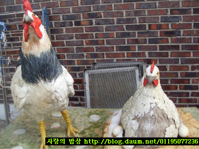 설날의 풍요로움^^