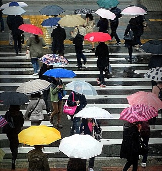 感雨(2)
