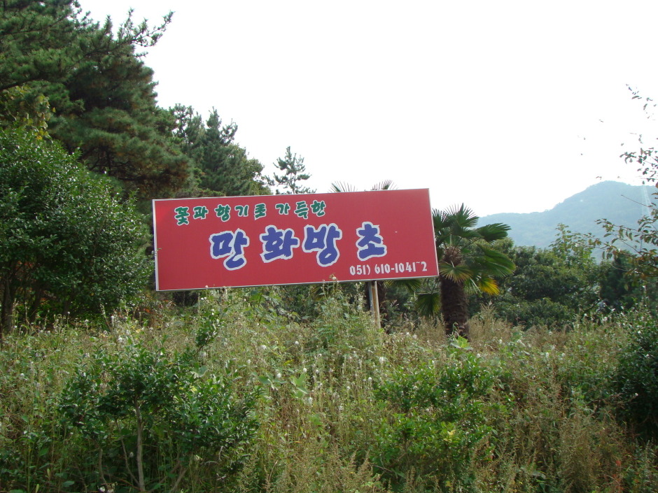 녹차향 그윽한 만화방초