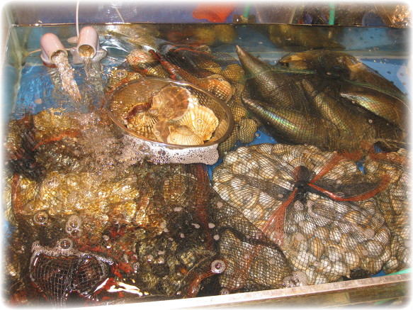 도심으로 변한 소래포구