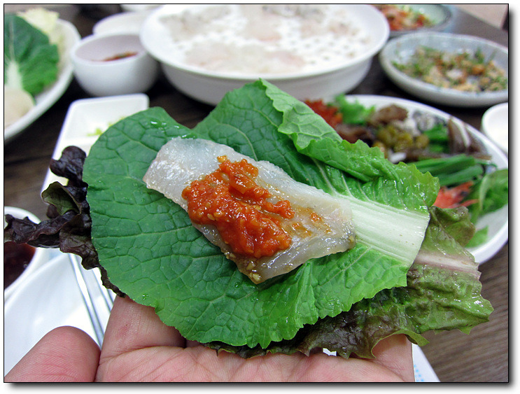 해운대박선장 이미지