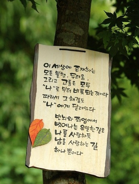 개그맨 이동우씨 사연 - ♥삶의 이야기 - 좋은글과 음악이 흐르는곳 개그맨 이동우씨 사연