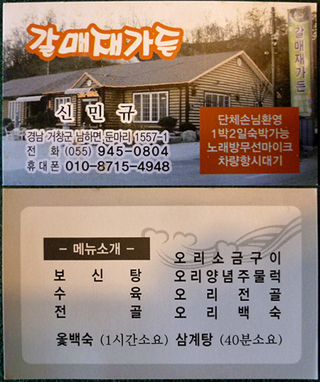 싱싱오리 이미지