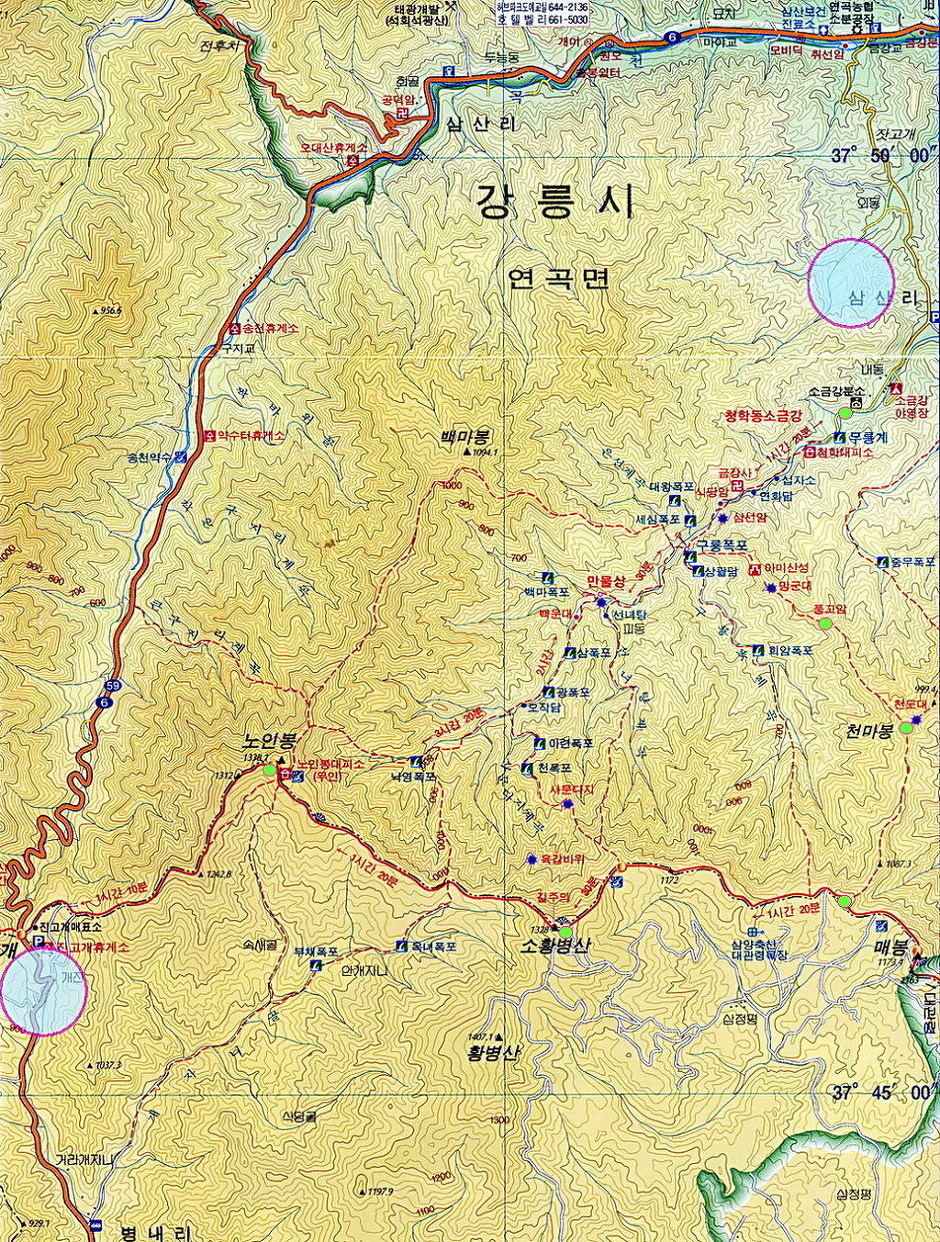오*대 이미지