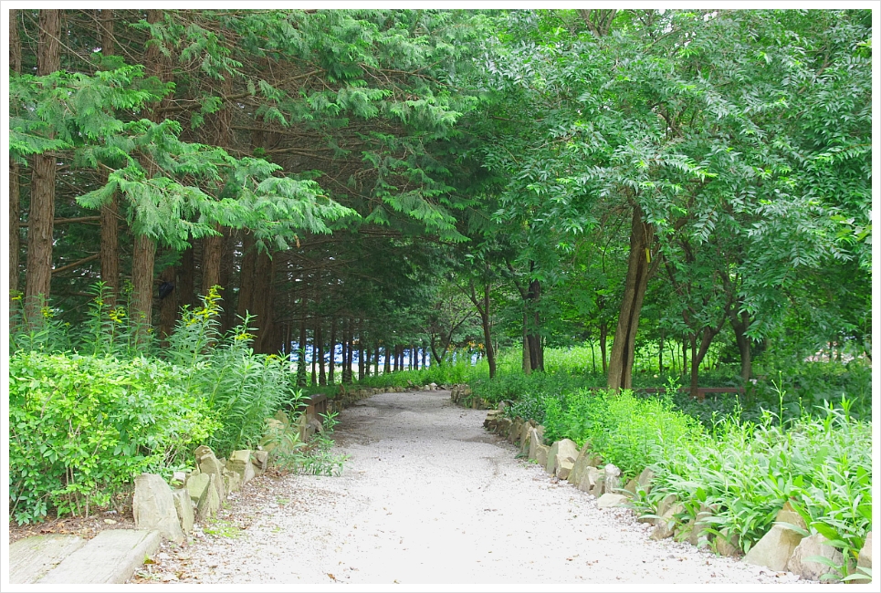 미동산수목원 이미지