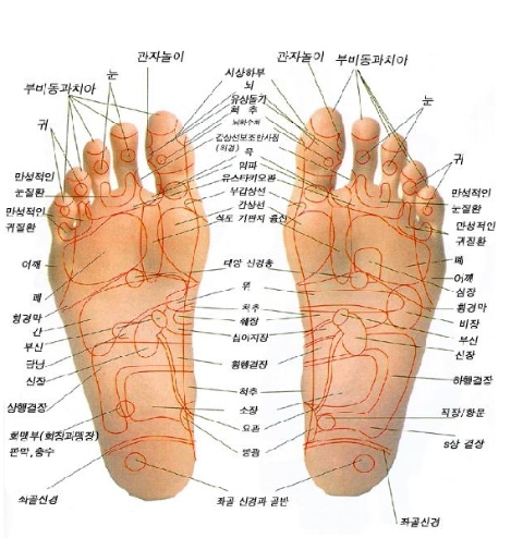뽀송크리닉 이미지