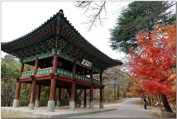 금남정맥7구간(반송리고개 - 진고개 - 구드레나루)