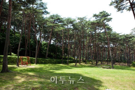 안면도수목원 이미지