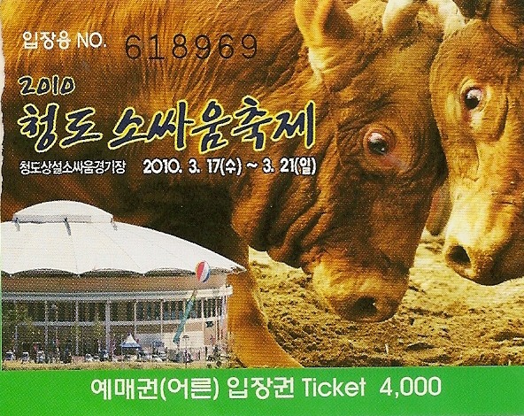 소싸움 이미지