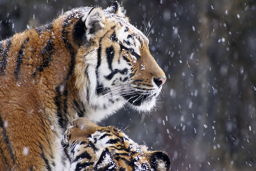 135F180C4983B5233C5EBB