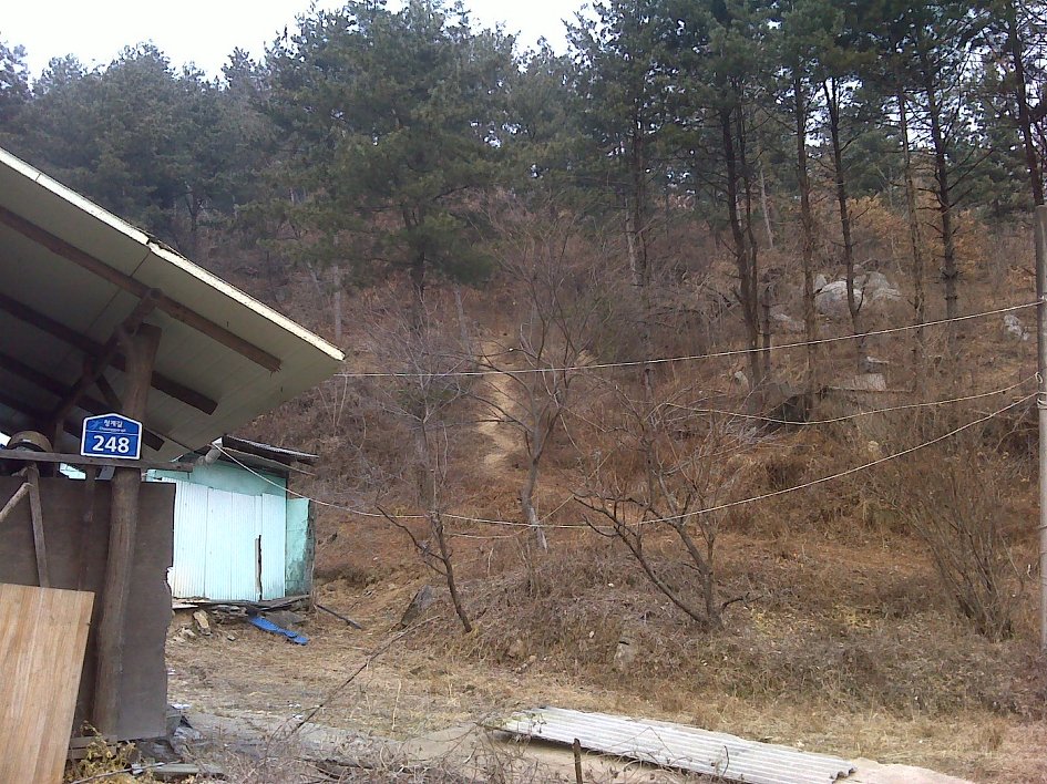 송년산행을 ~~~양평 청계산에 오르면서...