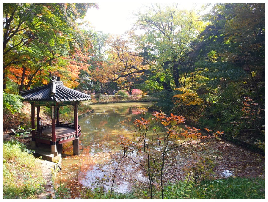 [서울여행 가볼만한 곳] 서울 살이 30년 만에 처음 갔던 창덕궁 후원. 비원의 가을 풍경