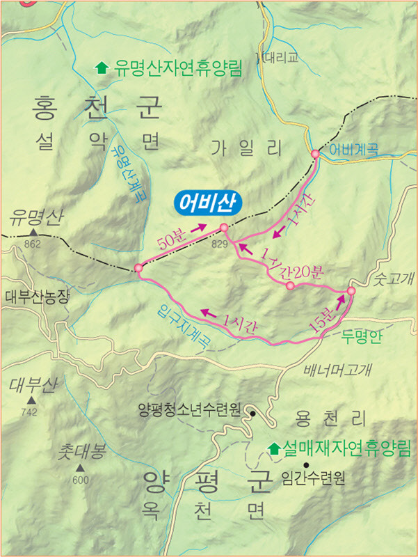 대일민박 이미지