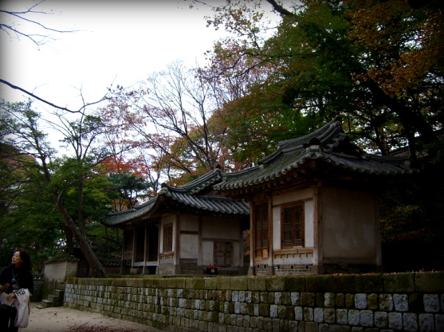 142E6B144AF29BF199C4CF