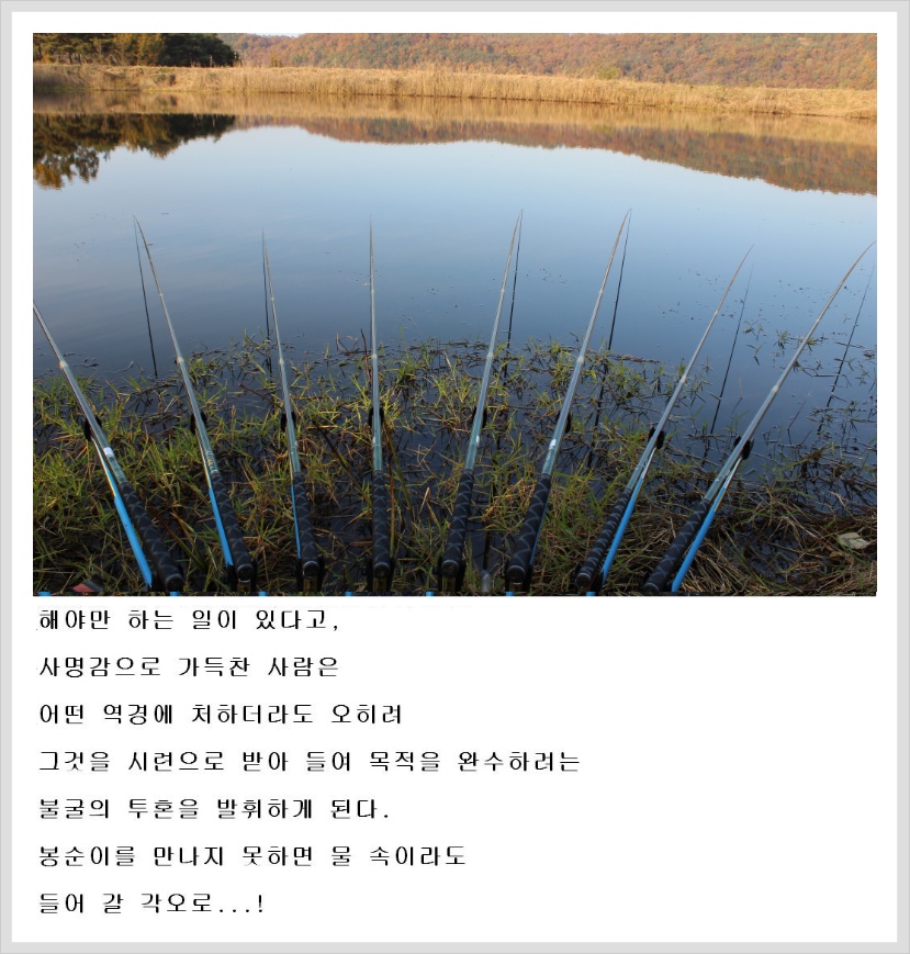 143B1334508D3EC9237733