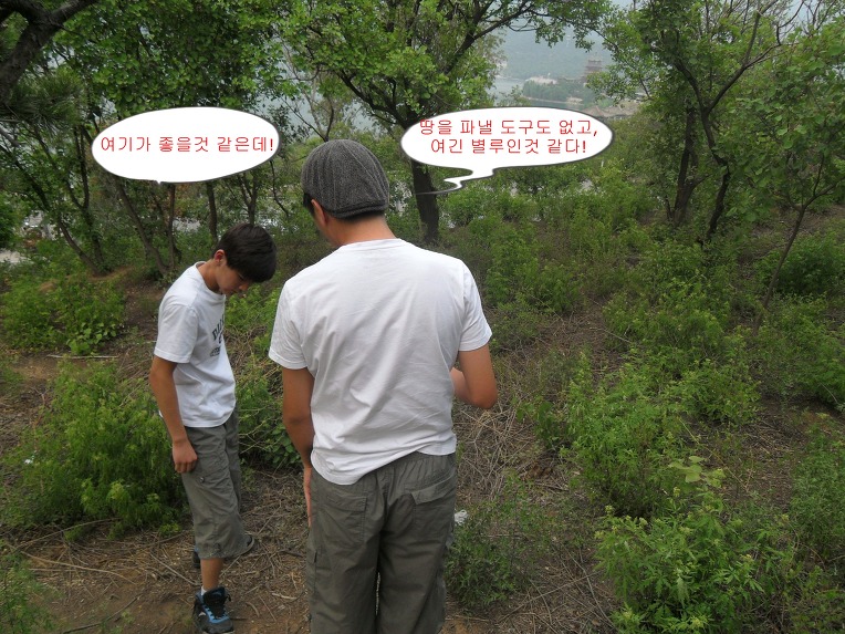 천사된 거북이에게 명당 찾아주기