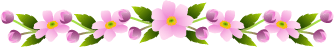 152BB24E508559090A37B7