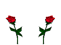 15471C3450A5F91C071B2B