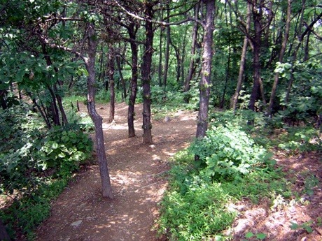 우리 아파트 앞에 남양주 황금산(128.6M) 