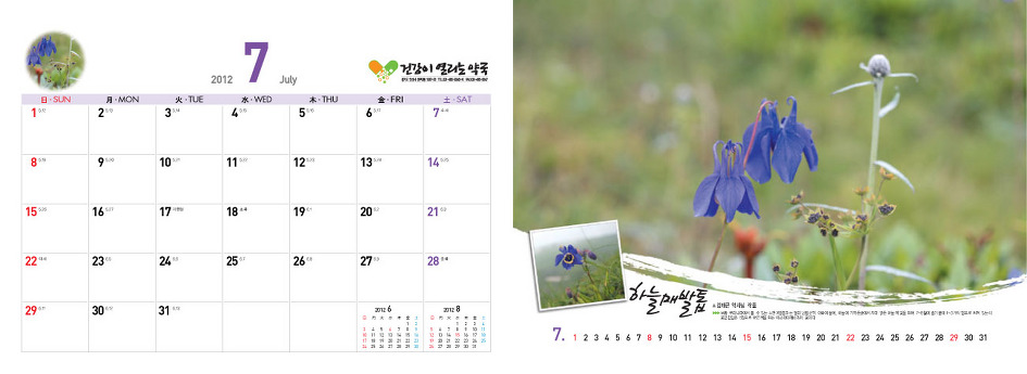 야생화달력탁상용2012년-백두산속야생화