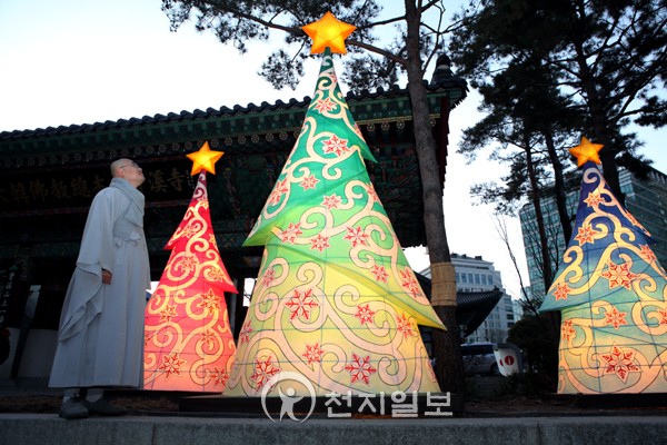 세트리다 이미지