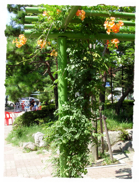 카톨릭병원 이미지