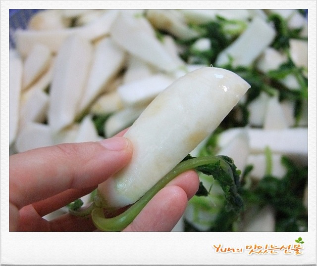 사과를 넣어 더욱 맛있는 아삭아삭~ 총각김치 간단하게 담그는법