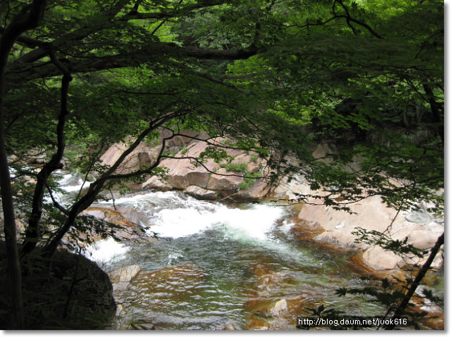 지리산愛 이미지