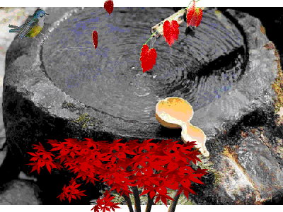 171DF5234CD6A70E477B81