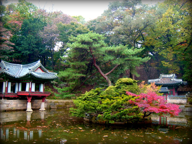 1737101D4AF5B2C702570C