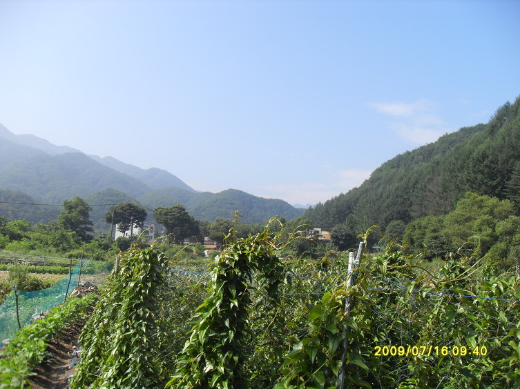개울 이미지