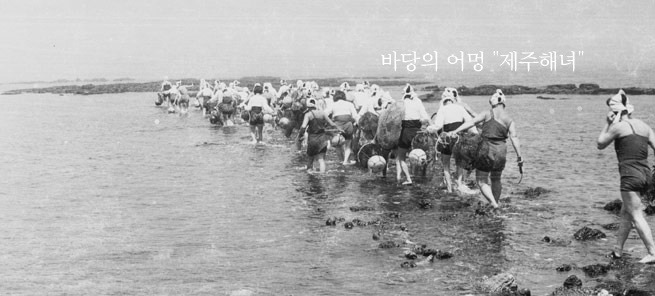 [해녀박물관] 제주 해녀(海女) 사료집