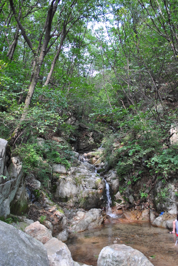 파인트리캠핑장 이미지