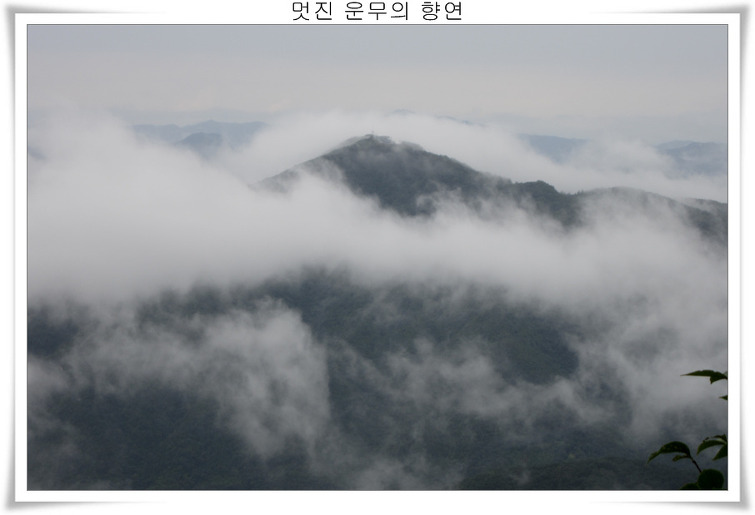 1803054A5039EF4222E45C