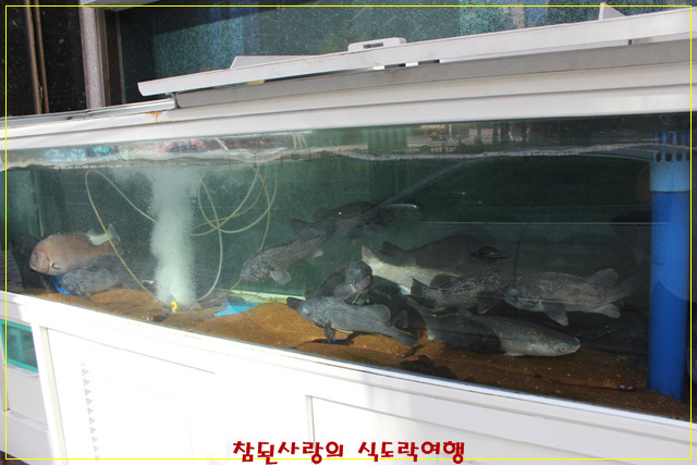고미참치 이미지