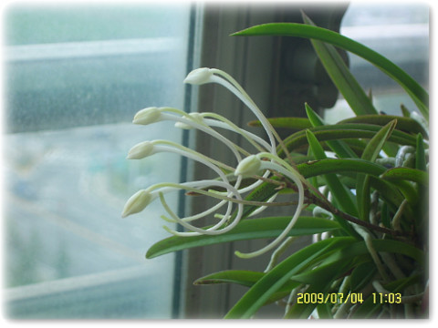 기업의 환경분석 방법중 SWOT 분석