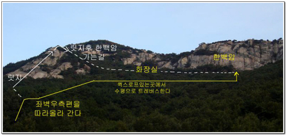 꿈꾸는소나무 이미지