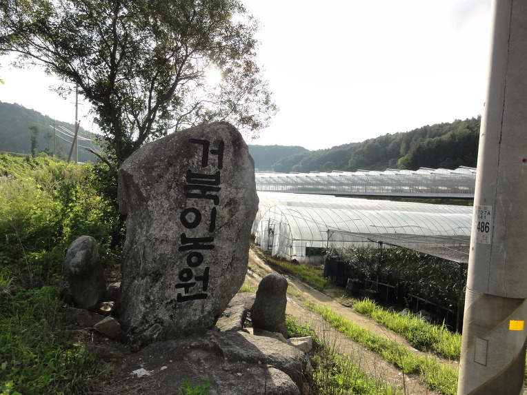 동네아지매야채 이미지