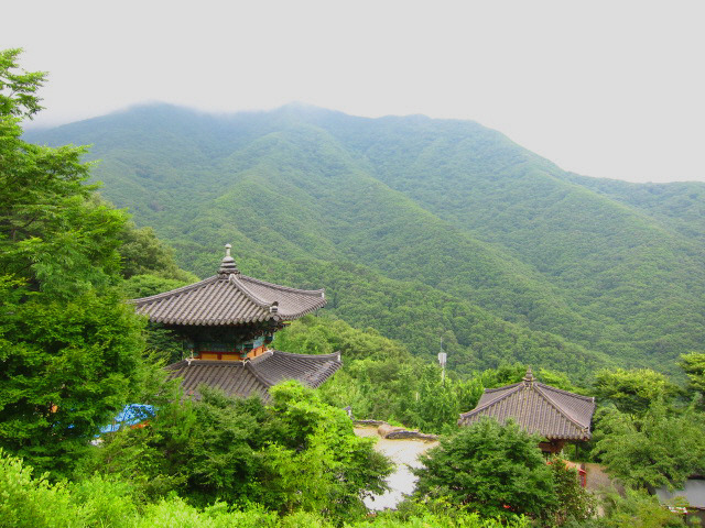 곡선재 이미지