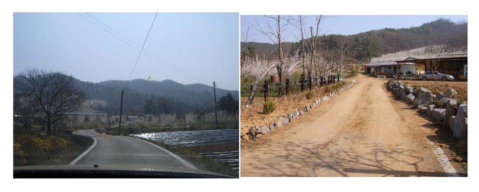 매실농원 이미지