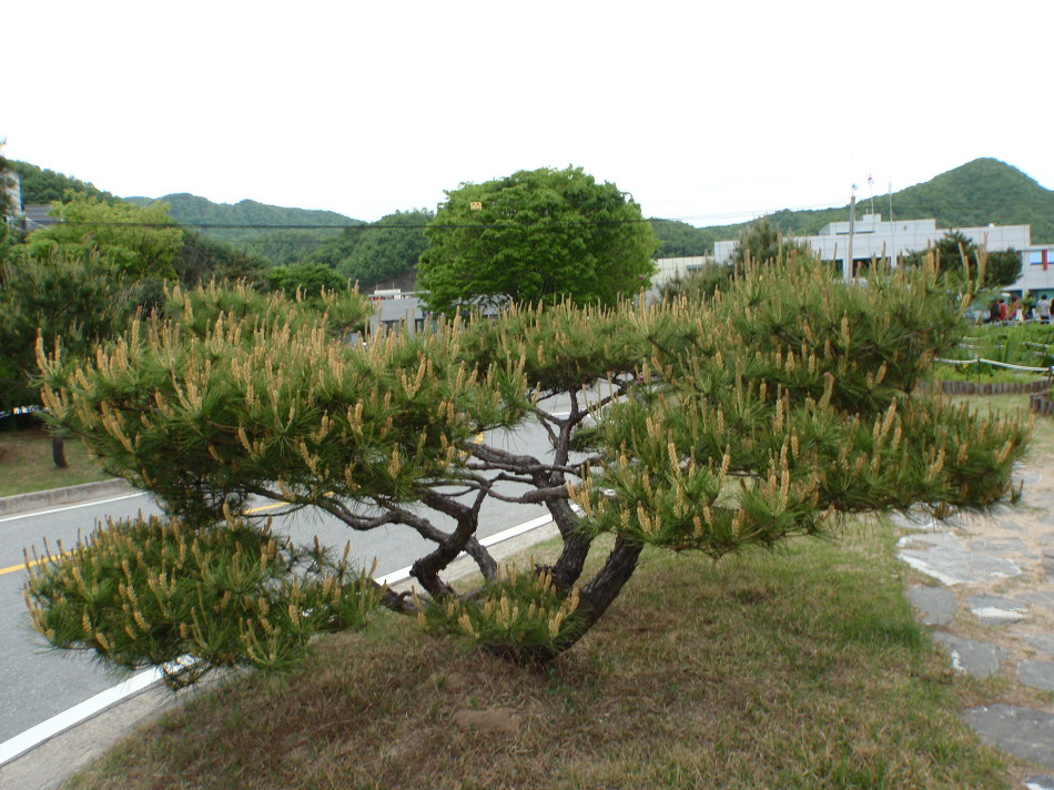 고기연구소 이미지
