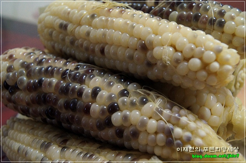 토담길 이미지