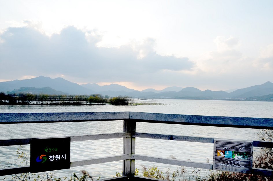 동판지->주남저수지 풍경탐방 