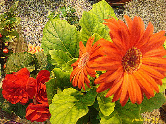 203457224BB354762E17D7